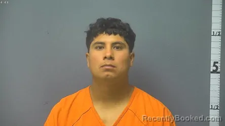 Mugshot of LUIS ANGEL MOYA-LEON