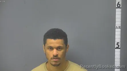 Mugshot of JAMES LEWIS COX