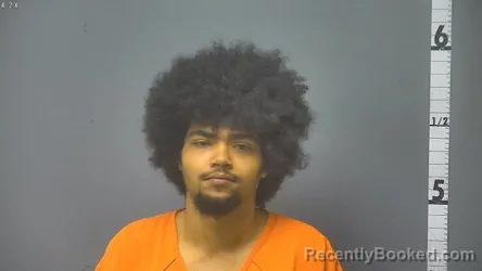 Mugshot of GINO MICHEAL HARRIS booked in Waynesboro County, Virginia on March 21, 2026