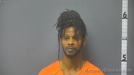 Mugshot of JERRY DEAN MARTIN booked in Waynesboro County, Virginia on March 31, 2026