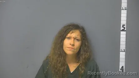 Mugshot of MANDY KATHRYN REESE booked in Waynesboro County, Virginia on June 14, 2026