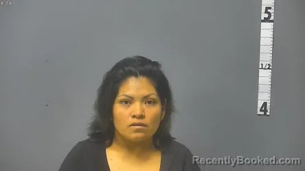 Mugshot of ANA B CORONA booked in Waynesboro County, Virginia on June 19, 2026