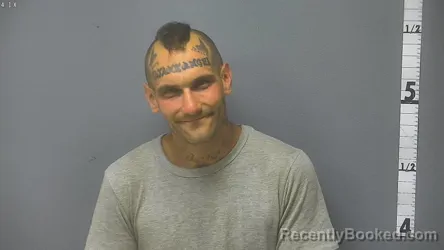 Mugshot of PAUL JOSEPH DIPIETRO booked in Waynesboro County, Virginia on June 24, 2026