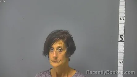 Mugshot of MELISSA JEAN LOUCKS booked in Waynesboro County, Virginia on June 27, 2026