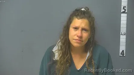 Mugshot of MANDY KATHRYN REESE booked in Waynesboro County, Virginia on July 8, 2026
