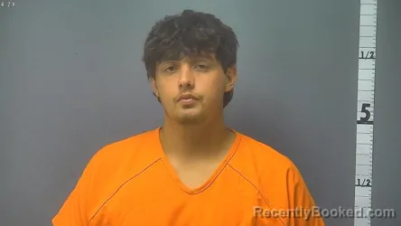 Mugshot of Gavin Lee Martin booked in Waynesboro County, Virginia on August 4, 2026