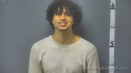 Mugshot of Jordan Alexander Mellich booked in Waynesboro County, Virginia on August 6, 2026