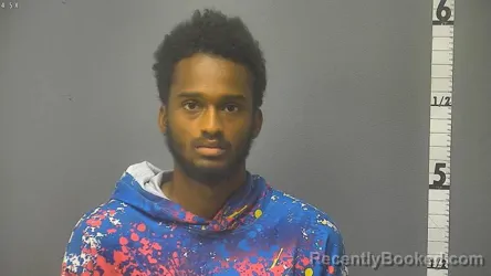 Mugshot of Jamell A Mitchell booked in Waynesboro County, Virginia on August 11, 2026