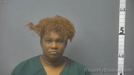 Mugshot of Brittany Lashanna Haliburton booked in Waynesboro County, Virginia on August 30, 2026