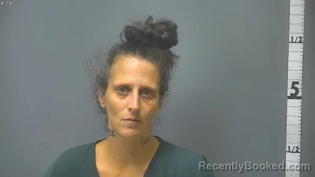 Mugshot of Erin Michelle Mcgovern booked in Waynesboro County, Virginia on September 5, 2026
