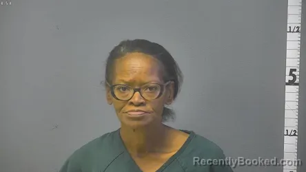 Mugshot of Kimberly Dawn Johnson