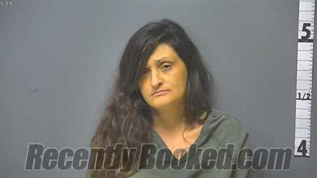 Booking photo from Waynesboro County, Virginia