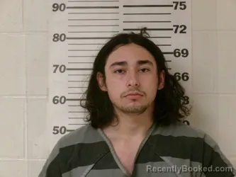 Mugshot of DYLAN RAY MEZA