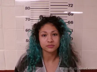 Mugshot of JAZMYN DANIELLE EBANEZ