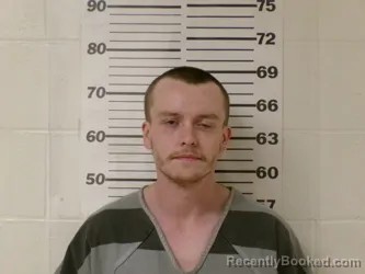 Mugshot of DAMIEN JAMES COLE