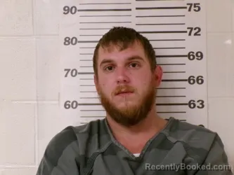 Mugshot of TERRANCE LOUIS GEORGE