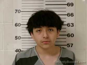 Mugshot of GITANO ALEX DELGADO