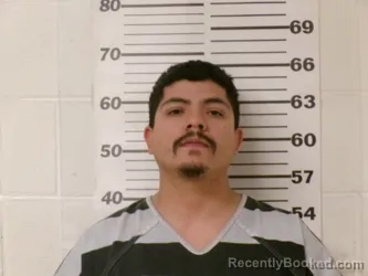 Mugshot of JOSE ENRIQUE TELLES FERNANDEZ