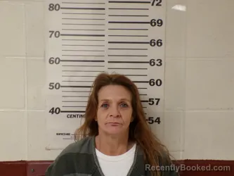 Mugshot of SARAH JO DONALDSON
