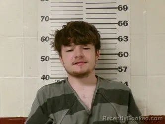 Mugshot of TAYLOR COLE DENNIS