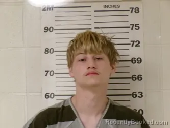 Mugshot of SKYLER LEE EUGENE DAVIS