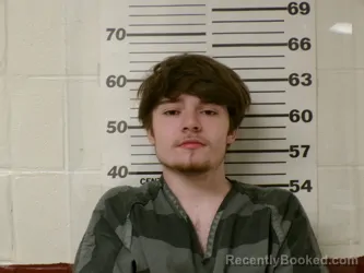 Mugshot of TAYLOR COLE DENNIS