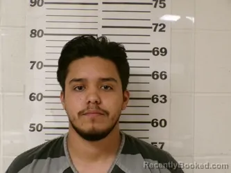 Mugshot of DIEGO CASTILLO