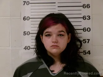 Mugshot of ELIZABETH NEVAEH STEELMAN
