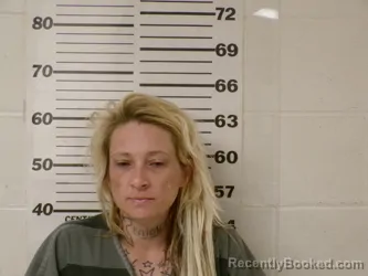 Mugshot of AMBER NICOLE LAWSON