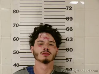 Mugshot of CAIDYN CHRISTOPHER FARRIS booked in Henderson County, Texas on March 11, 2026