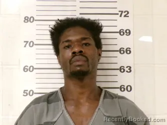 Mugshot of BYRON RAY WILLIAMS booked in Henderson County, Texas on March 12, 2026