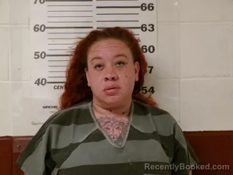 Mugshot of KRISA LEANNE WHITE booked in Henderson County, Texas on March 12, 2026