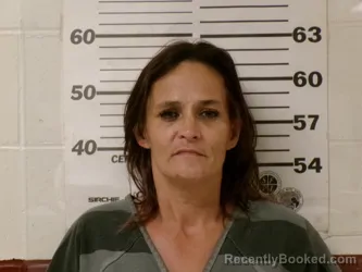 Mugshot of TONYA SUE KING booked in Henderson County, Texas on March 13, 2026