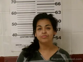 Mugshot of CYNTHIA ANN SEVILLA booked in Henderson County, Texas on March 17, 2026