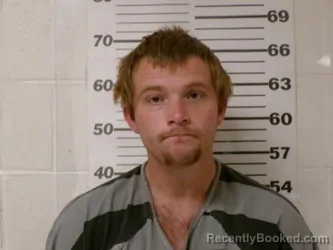 Mugshot of JACKIE RAY SHANZ booked in Henderson County, Texas on March 18, 2026