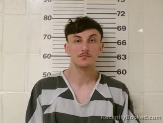 Mugshot of CHANCE TYLER BARNHART booked in Henderson County, Texas on March 18, 2026