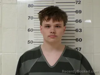 Mugshot of COLTON LEVI HERRIAGE booked in Henderson County, Texas on March 19, 2026