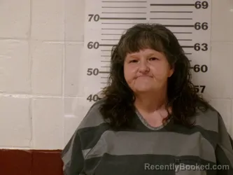 Mugshot of PAMELA DIANE JOHNSON booked in Henderson County, Texas on March 19, 2026