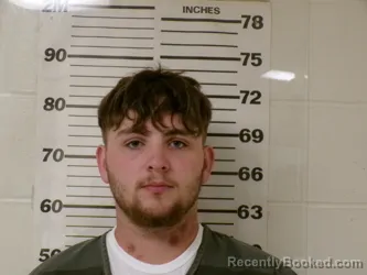 Mugshot of JOHNNY KATO WHITWORTH booked in Henderson County, Texas on March 20, 2026