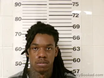 Mugshot of RAMARIO KEJUAN MCGEE booked in Henderson County, Texas on March 20, 2026