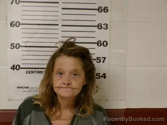 Mugshot of SHEENA GAYLE RODGERS booked in Henderson County, Texas on March 21, 2026