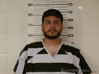 Mugshot of JOSE GUSTAVO MARTINEZ booked in Henderson County, Texas on March 22, 2026