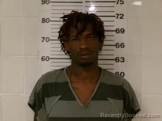 Mugshot of DAMIANO ORLANDA SANDERS booked in Henderson County, Texas on March 23, 2026