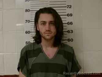 Mugshot of JACOB RYAN DIVINEY booked in Henderson County, Texas on March 24, 2026