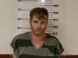 Mugshot of DYLAN WAYNE MORRISON booked in Henderson County, Texas on March 24, 2026