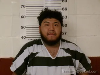 Mugshot of GUIILERMO GONZALEZ HERNANDEZ booked in Henderson County, Texas on March 25, 2026