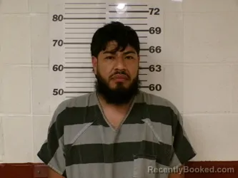 Mugshot of JOSE RAUL GONZALEZ-HERNANDEZ booked in Henderson County, Texas on March 25, 2026