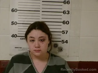 Mugshot of KARLEE-ANN ELIZABETH PETTY booked in Henderson County, Texas on March 25, 2026