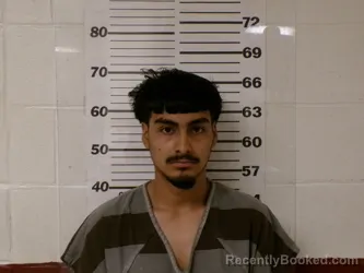 Mugshot of JOSE LUIS CAPISTRAN booked in Henderson County, Texas on March 27, 2026