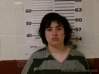 Mugshot of AMANDA FAITH ROSE BOSWELL booked in Henderson County, Texas on March 27, 2026